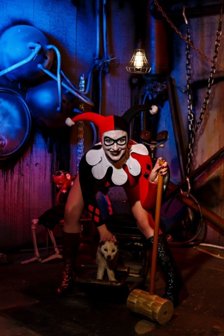 Harley Quinn hübsche nackten fotos